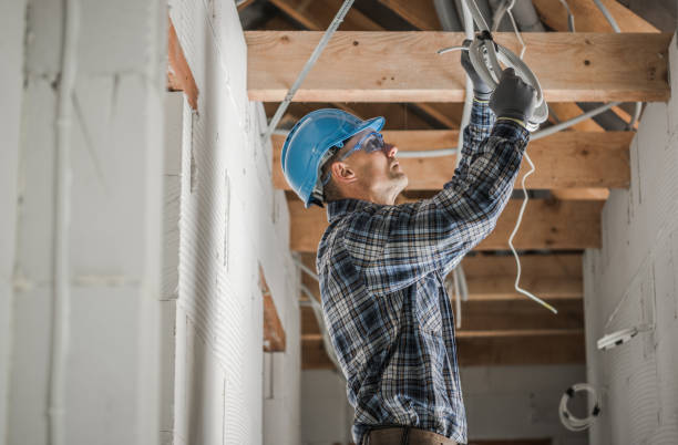 Best Electric Panel Repair  in St Louis, MO